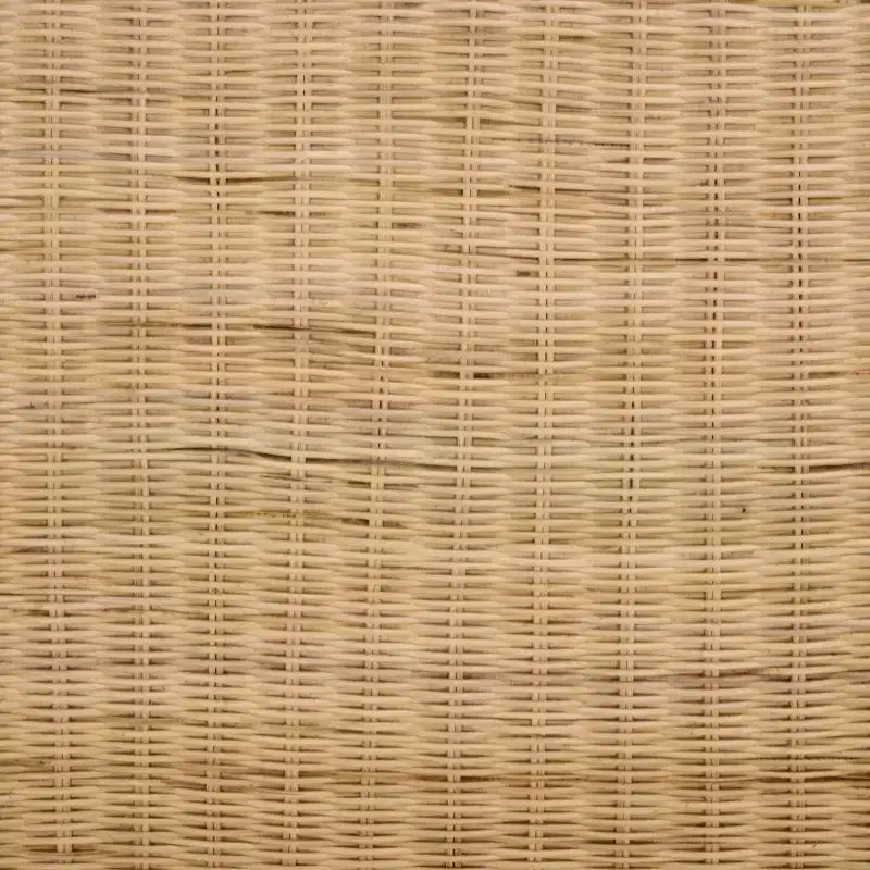 Tavolino da Caffè Rettangolare in Rattan Intrecciato, Struttura in Legno di Mango, Naturale